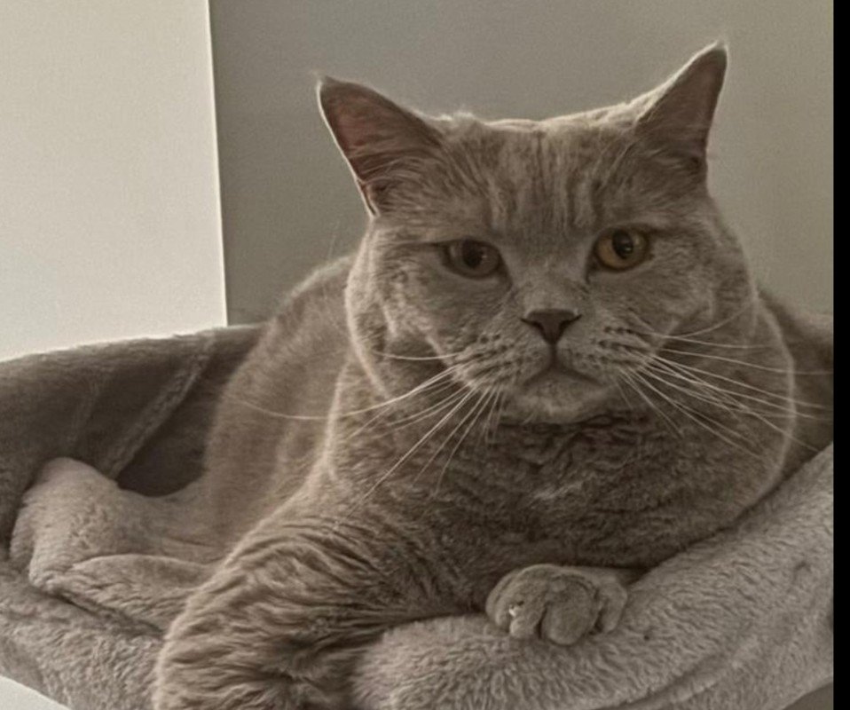 George