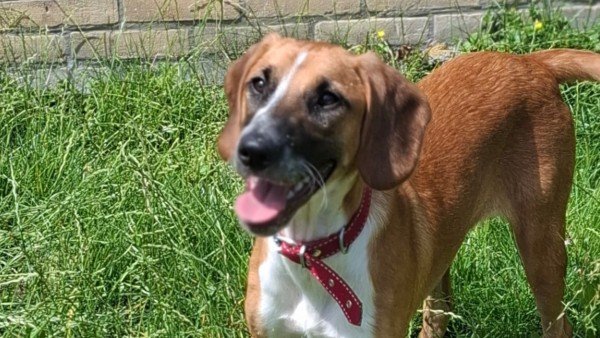Zoë