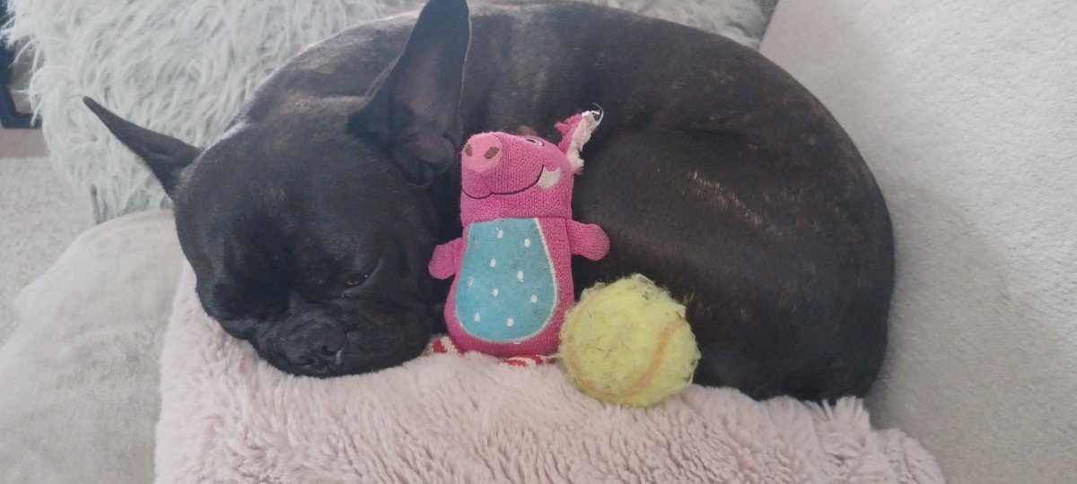 Roxy