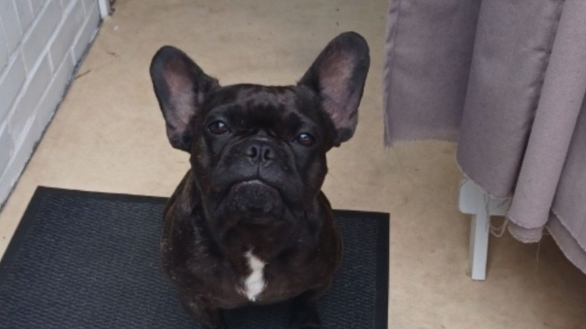 Roxy