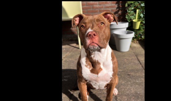 Ruby