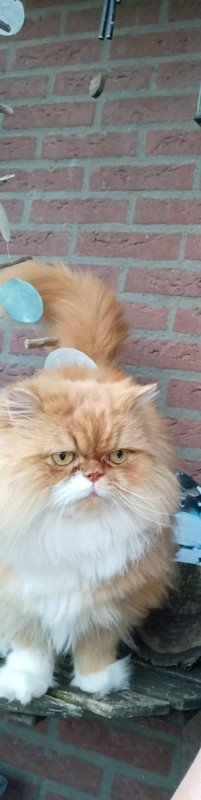 Monty