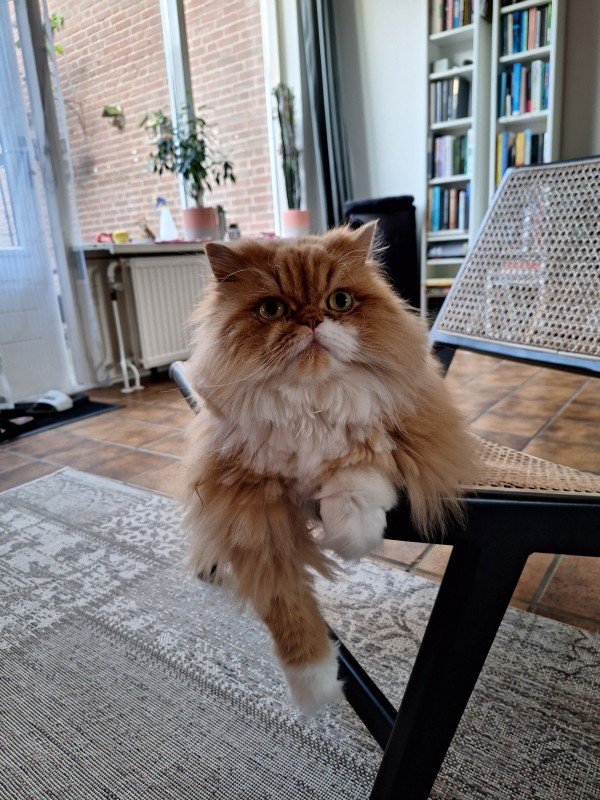 Monty