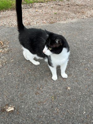 Boy