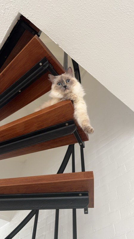 Yuki