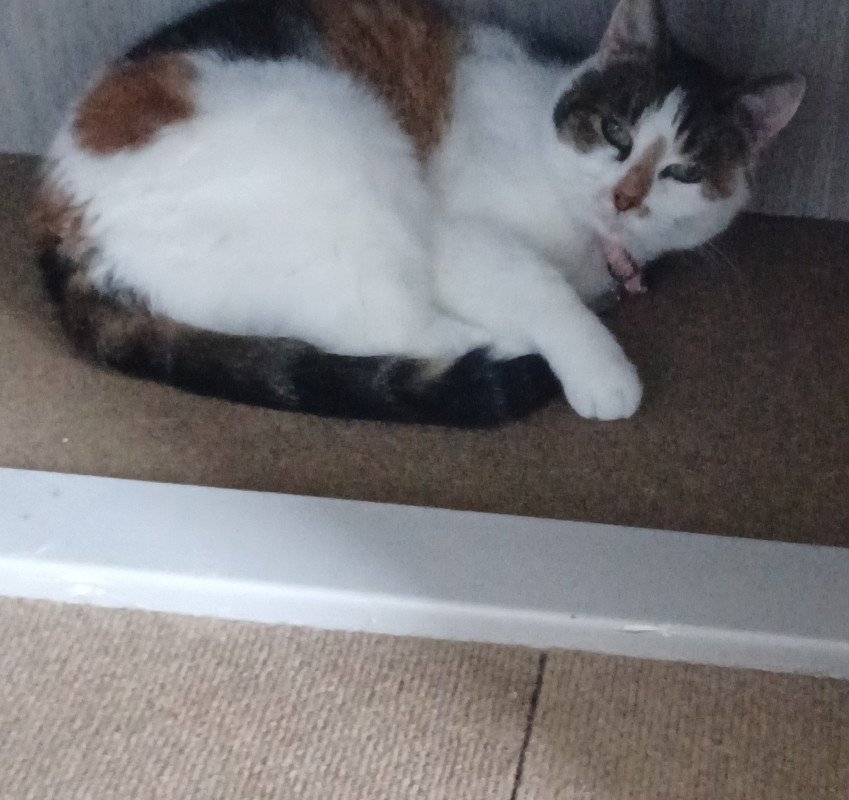 Kiara