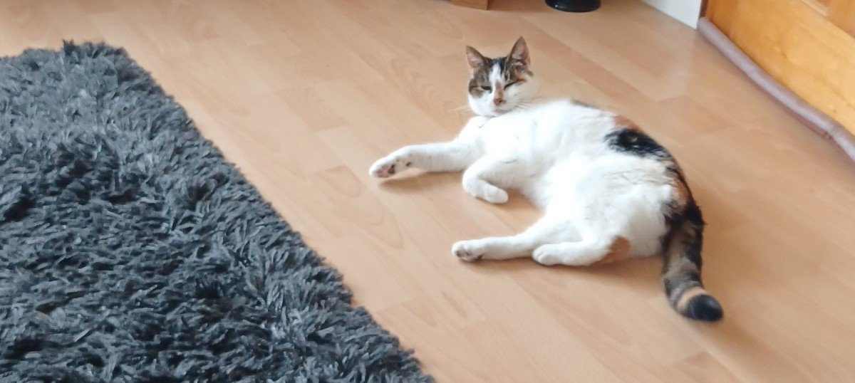Kiara