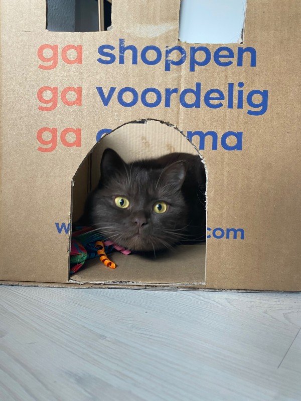 Siebrand