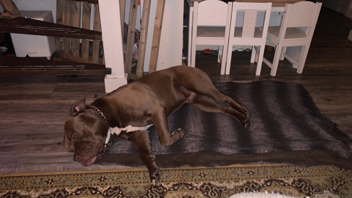 Spike