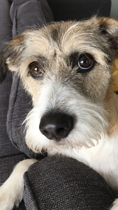 Bailey