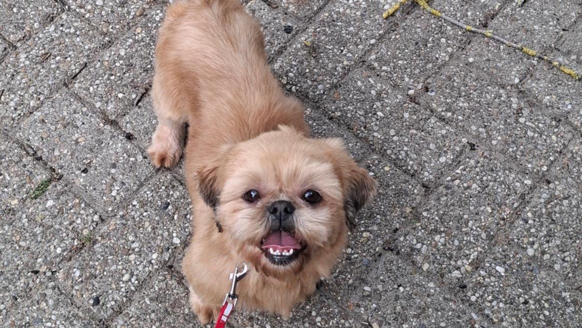 Nellie
