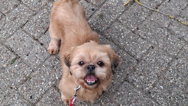 Nellie