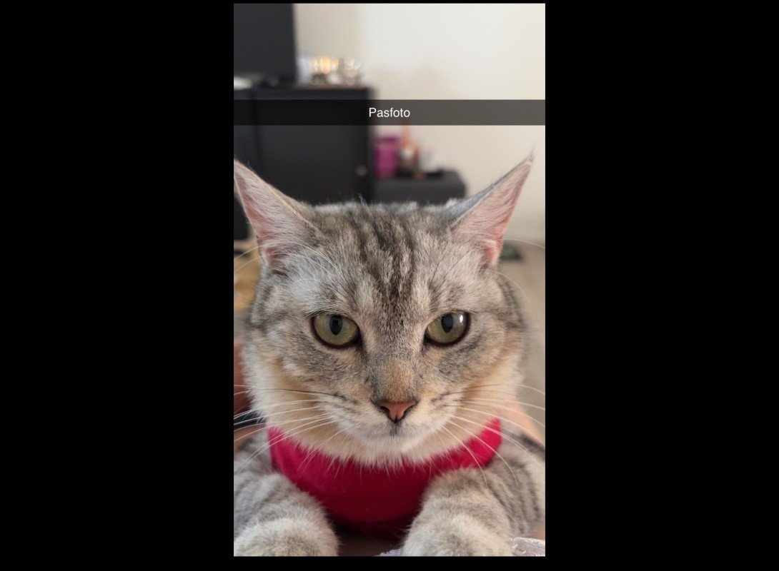 Nina