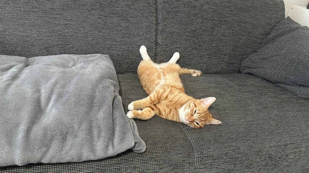 Max