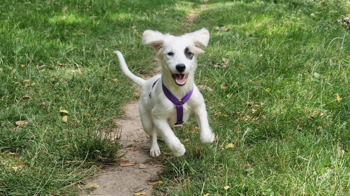 Suzie