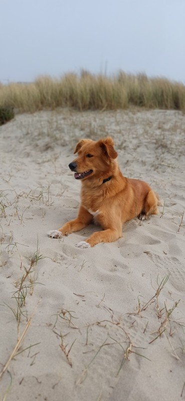 Abby