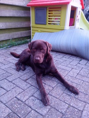 Max
