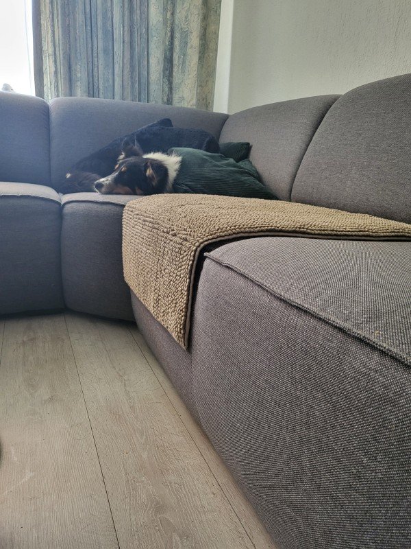 Benji