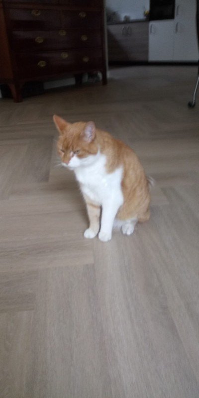 Boris