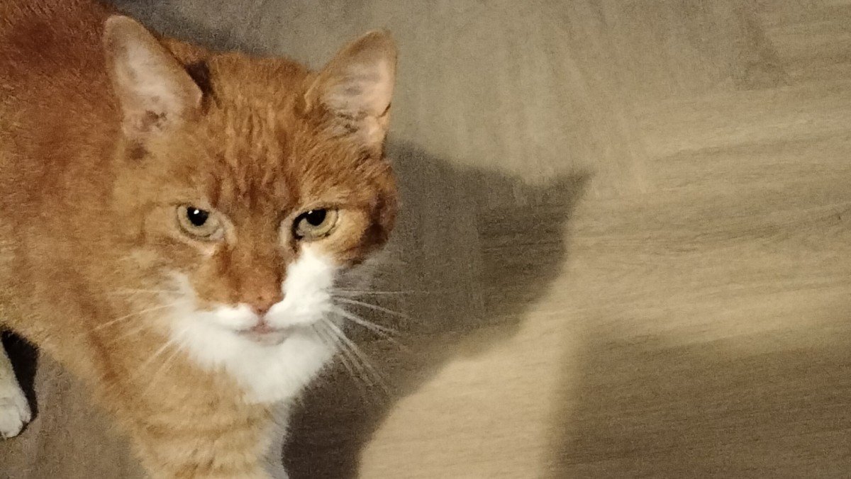 Boris