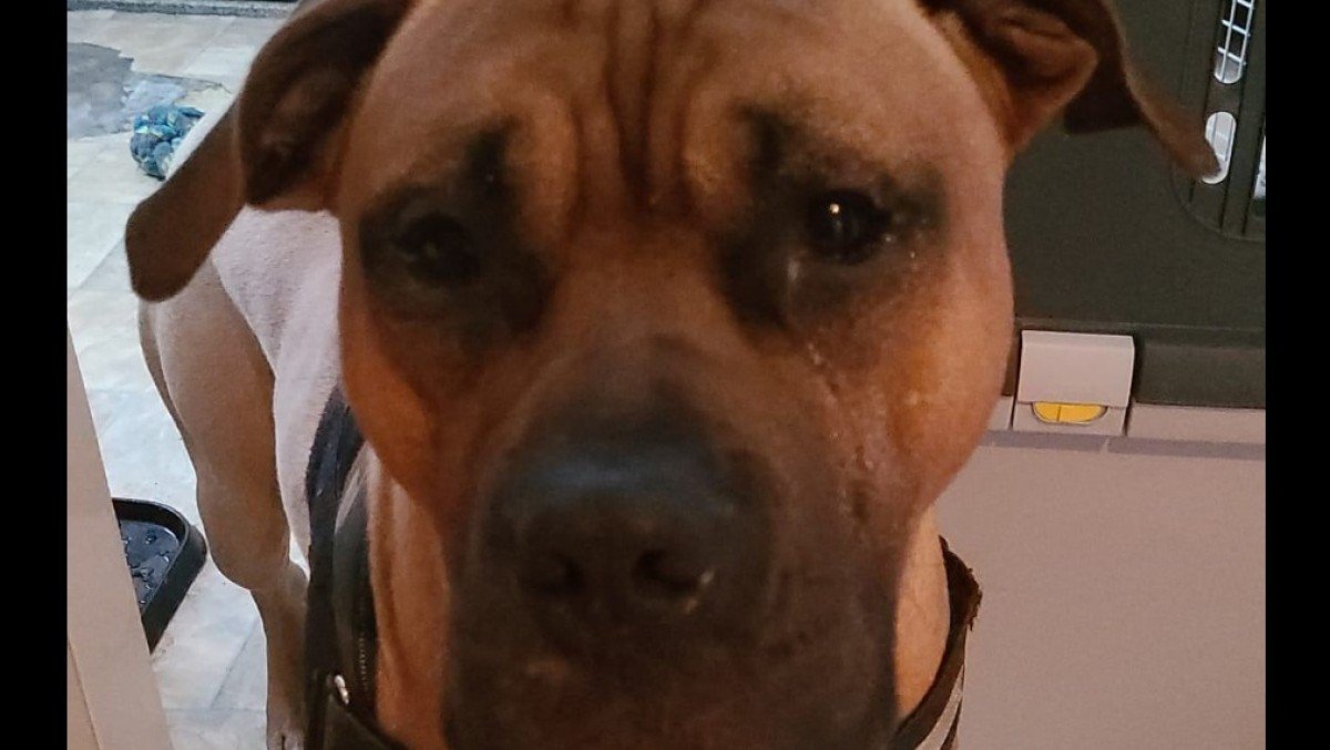 Jack
