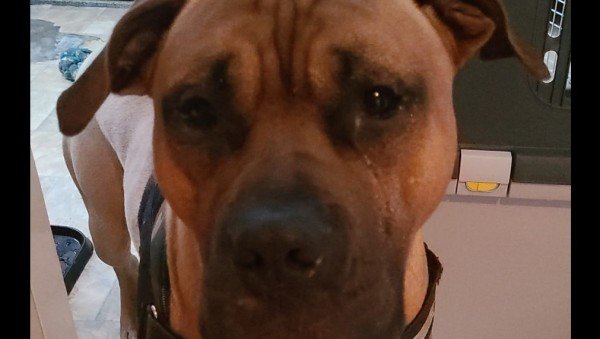 Jack