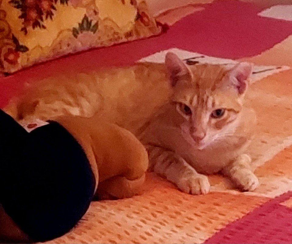 Rafael