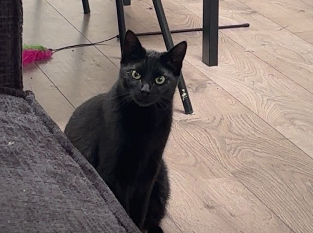 Tom