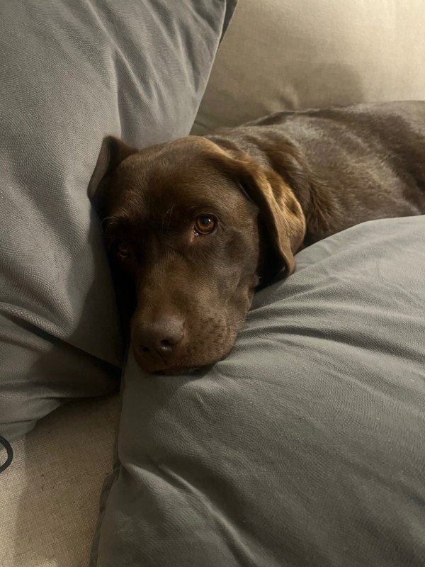 Max