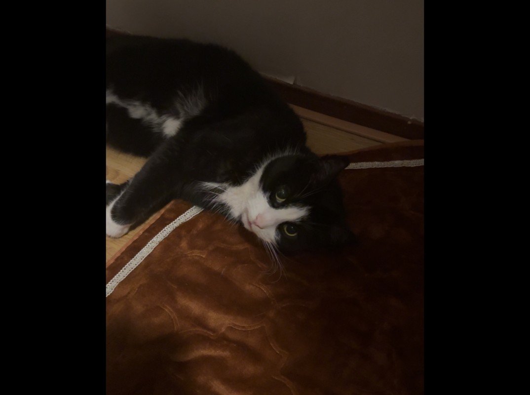 Pablo