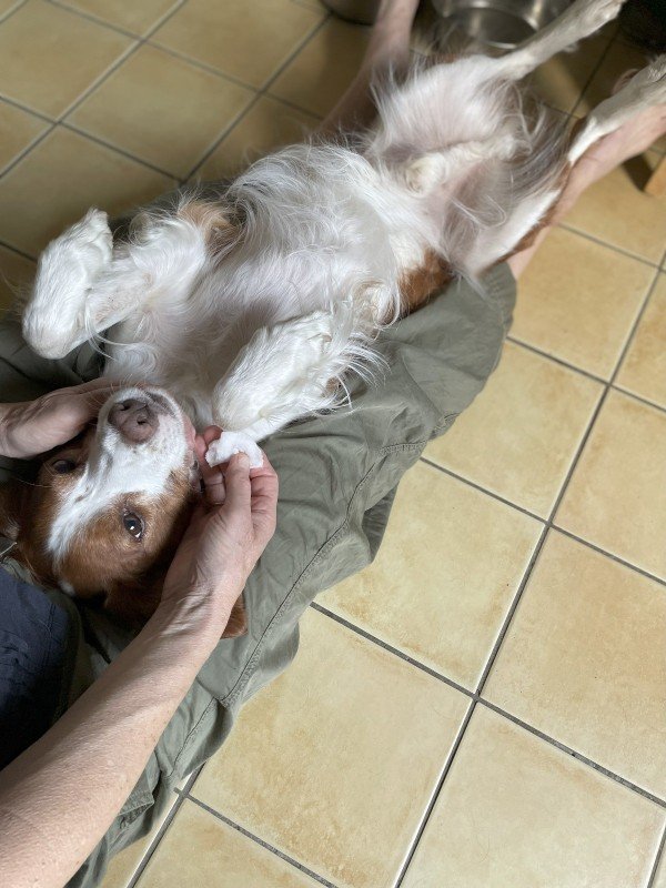 Juno