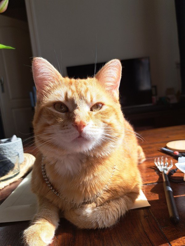 Max