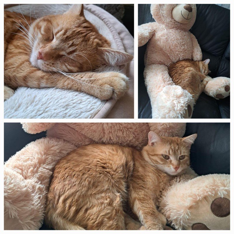 Max