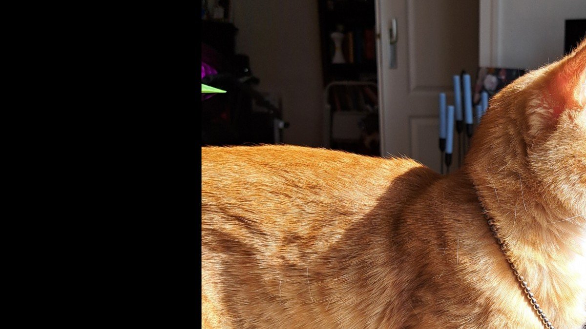 Max