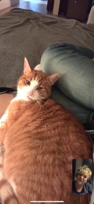 Joep