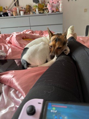 Simon