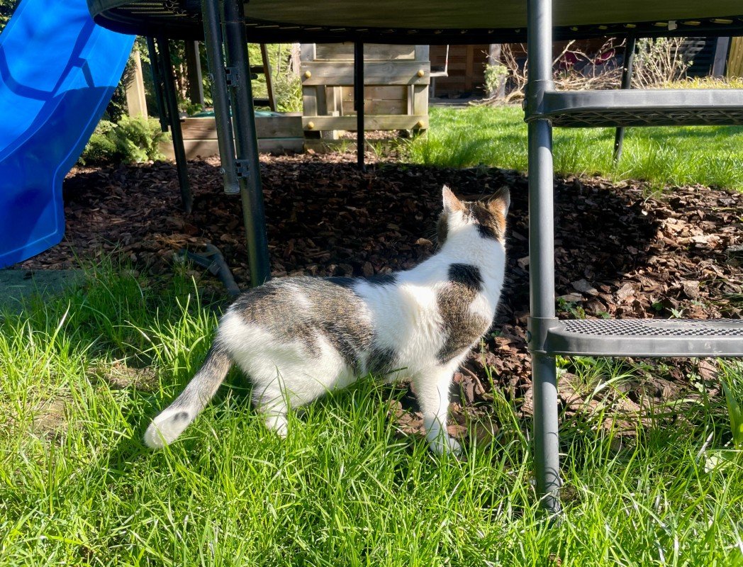Luna