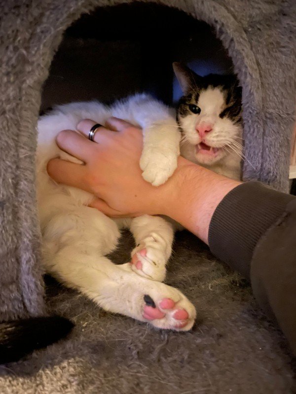 Yuki