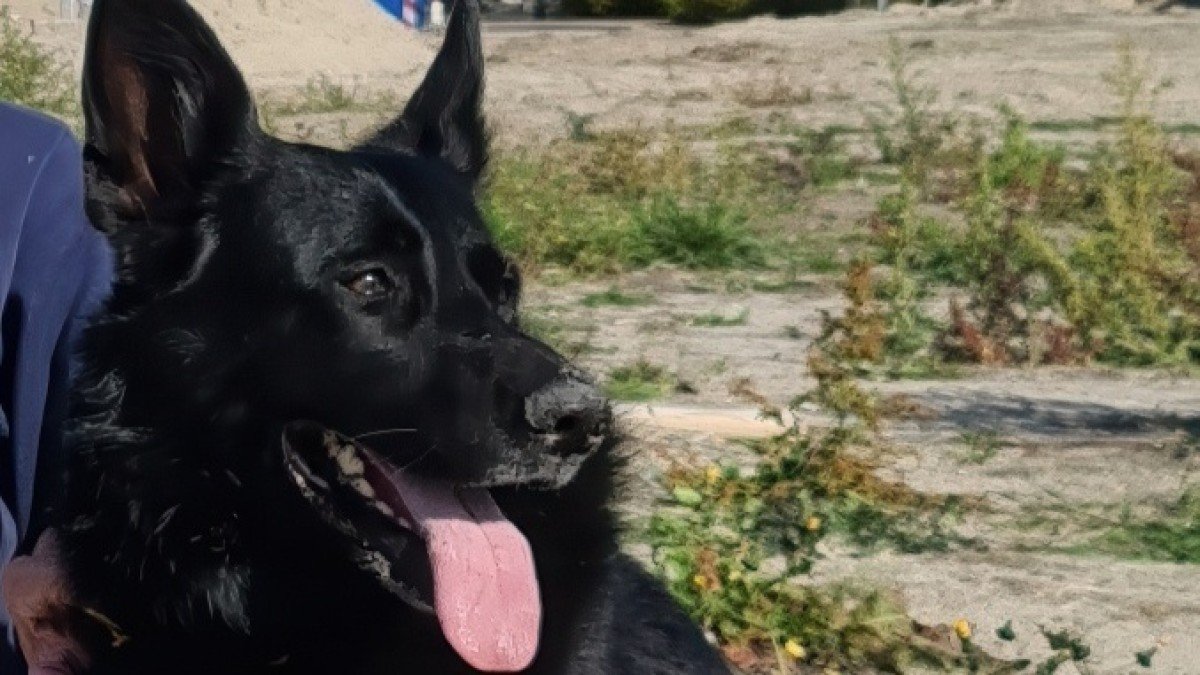 Xana
