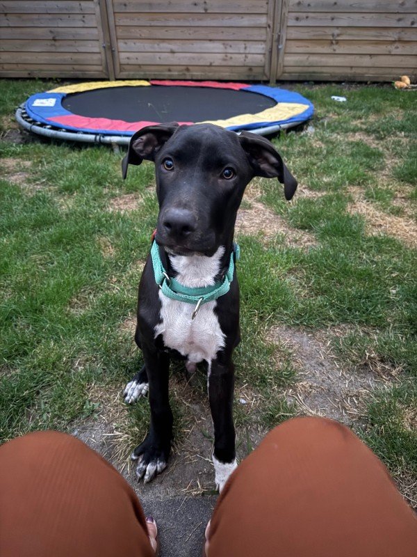 Walter