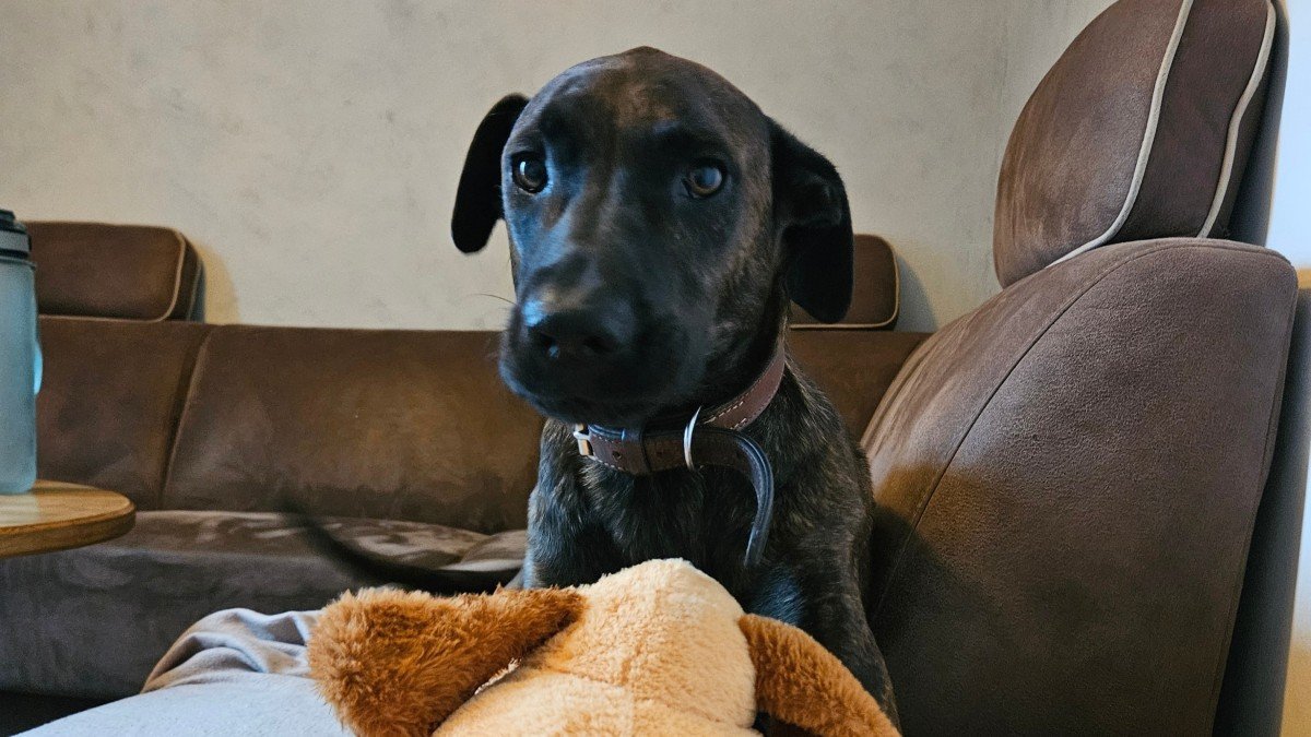 Max
