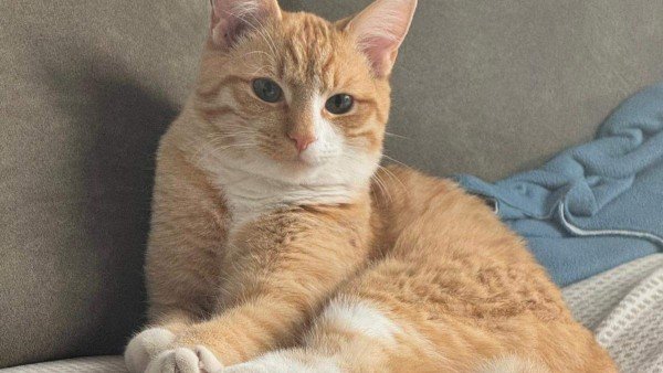 Zuzu