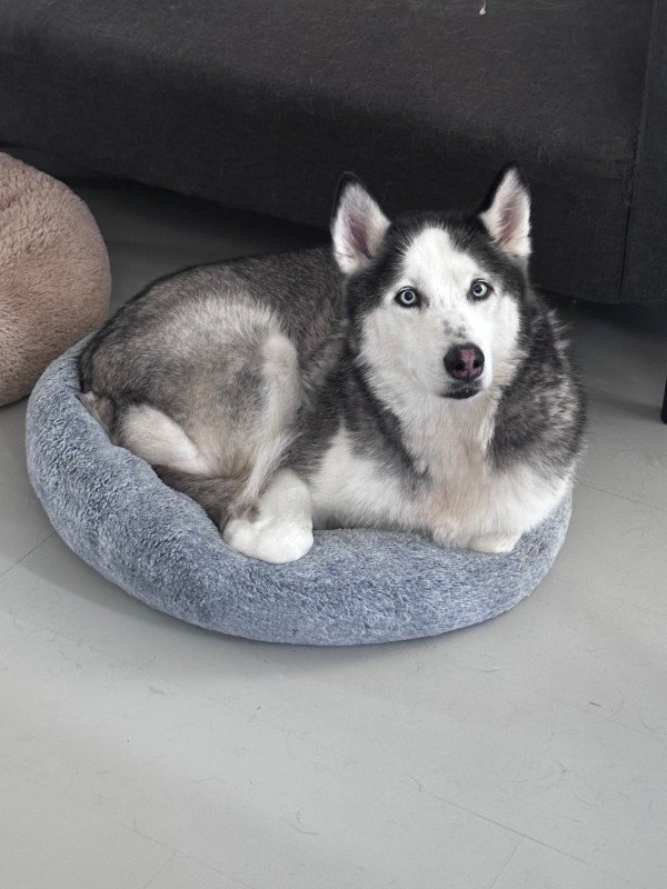 Skye