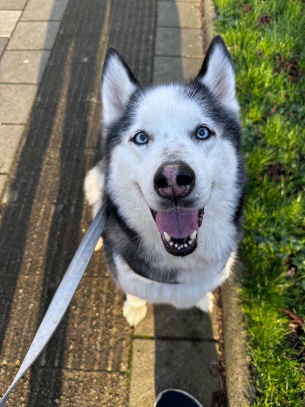 Skye