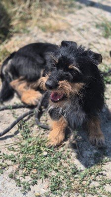 FENNA