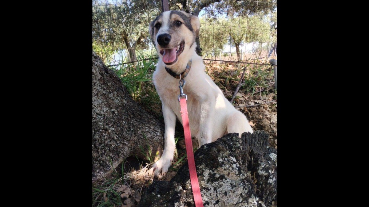 Sam