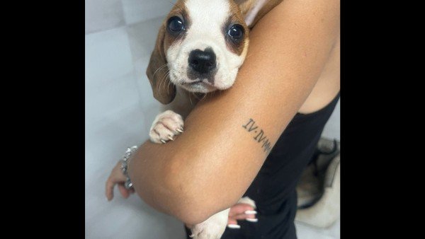 Ginny