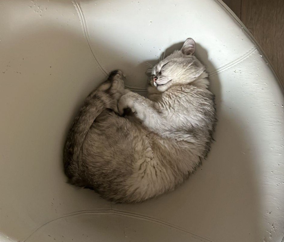 Olaf