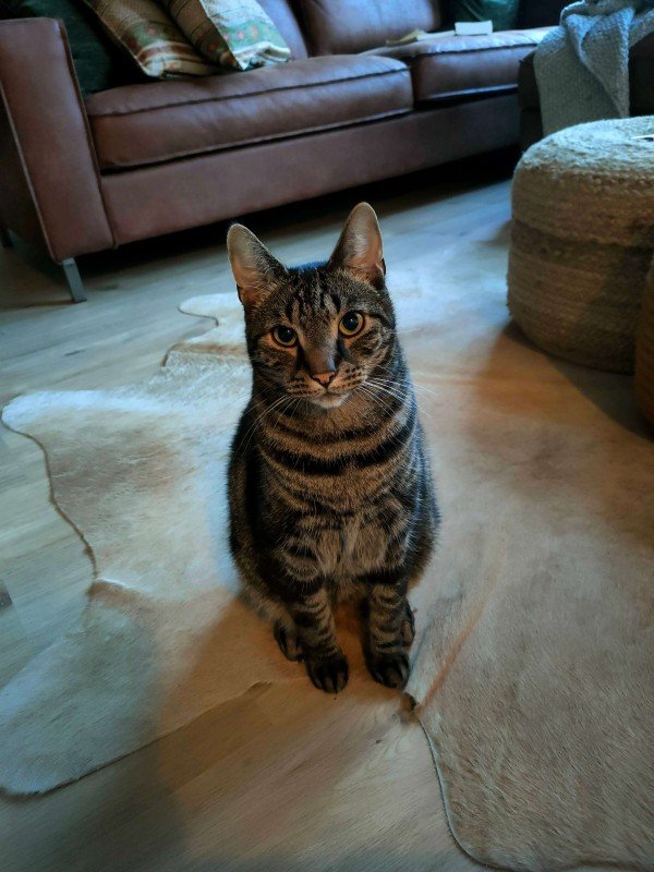 Jax