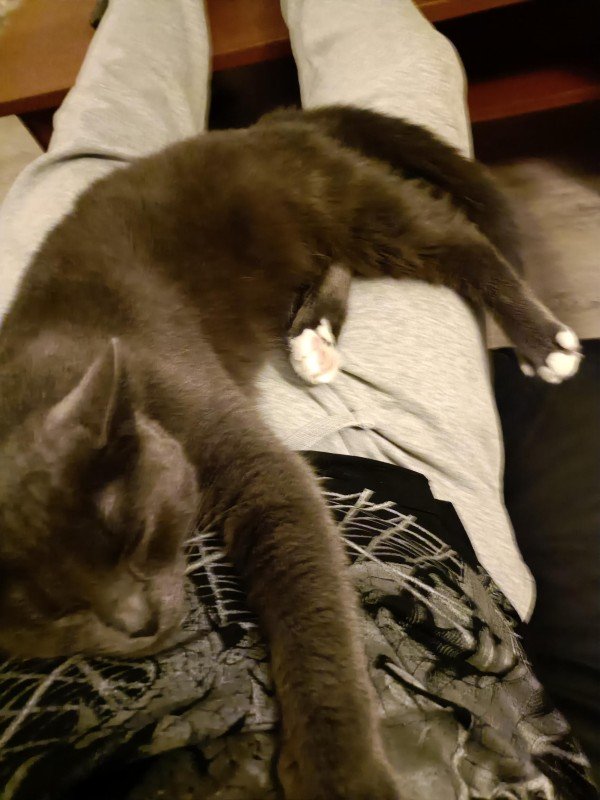 Milka